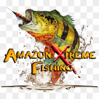 Download Pdf - Team Fishing Peacock Bass Clipart