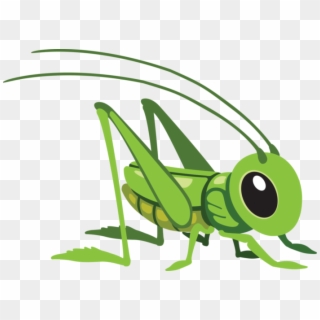 Cartoon Grasshopper Clipart