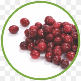 Cranberries A Native Fruit - Red Circle Fruit Clipart