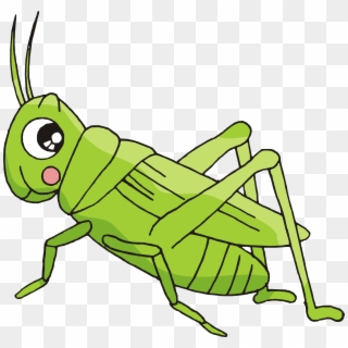 Picture Library Library Cartoon Bush Crickets Insect - Crickets Cartoon Clipart