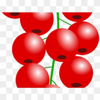 Red Currant Vector Clipart