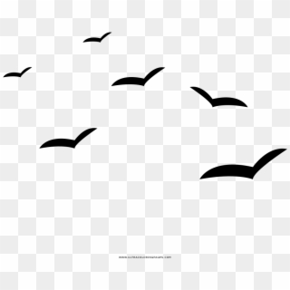 Seagulls Coloring Page - Gaivotas Desenho Png Clipart