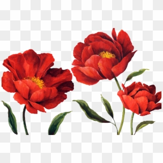 1166 X 780 13 - Watercolour Red Flowers Png Clipart