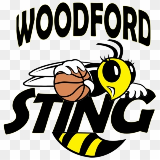 Woodford Sting - Charlotte Sting Clipart