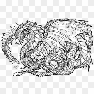 Realistic Dragon Coloring Pages For Adults Adult Colouring Clipart