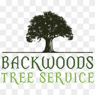Backwoods Tree Service Logo Backwoods Tree Service - Illustration Clipart