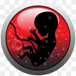 Embryo Human Infant - Abortion Png Clipart