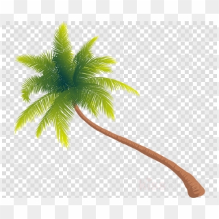 Download Tree Png Gif Clipart Palm Trees Clip Art Tree - Transparent Palm Tree Gif