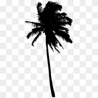 Free Png Palm Tree Silhouette Png - Silhouette Clipart