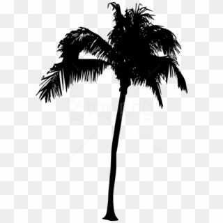 Free Png Palm Tree Silhouette Png - Transparent Palm Tree Silhouette Png Clipart