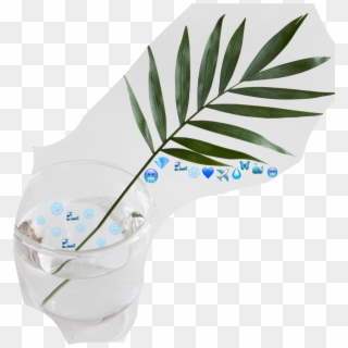 Blue Emoji Challenge Water Nature Plants Stayhydrated - Houseplant Clipart