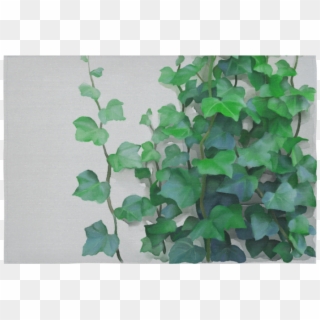 Green Creeper Wall Painting Clipart