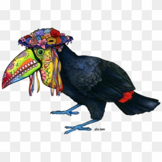 Toucan Drawing Png Clipart