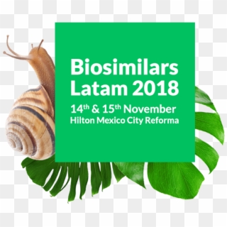 Biosimilars Latam 2018 Forum - Biosimilars Latam 2018 Clipart