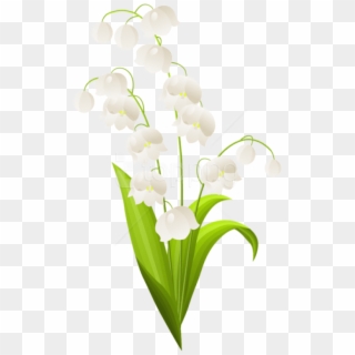 Free Png Download Lily Of The Valley Png Images Background - Lilies Of The Valley Png Clipart