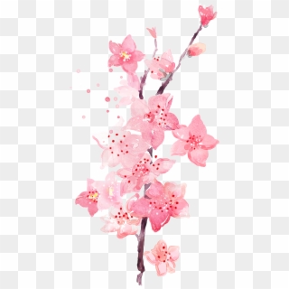 Floral Wallpaper Watercolor - Watercolor Peach Blossom Flower Clipart