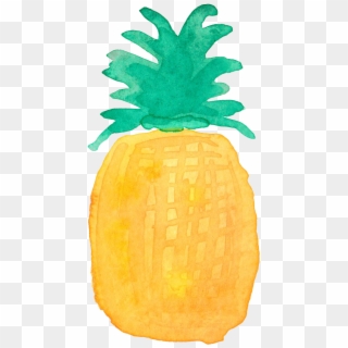 Pineapple Drawing Watercolor Painting Clipart