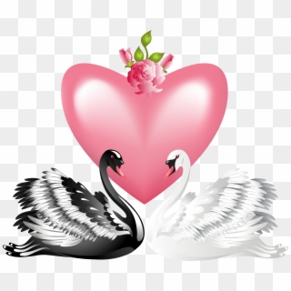 Valentine's Day Love Swans Transparent Png Clip Art - Transparent Valentine