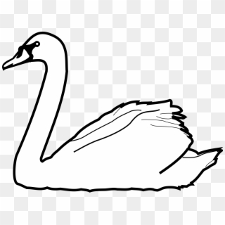 Swans Drawing At Getdrawings - Outline Of A Swan Clipart