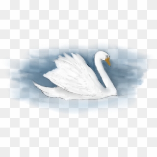 Org/wp Transparent - Tundra Swan Clipart
