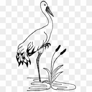 Crane In A Pond - Crane Black And White Clipart - Png Download