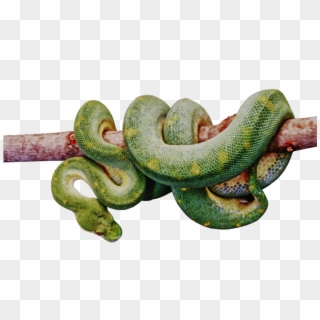 Serpent - Transparent Blue Snake Png Clipart