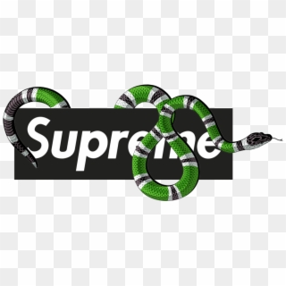 supreme x gucci logo