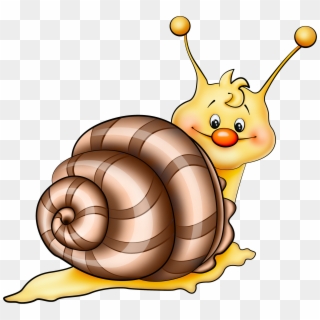 Brown Snail Cartoon Png Picture - Cartoon Cliparts Png Transparent Png