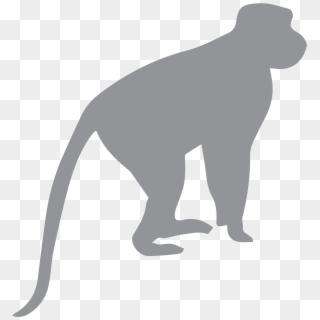 Experience Primate Conservation - Monkey Silhouette Clipart