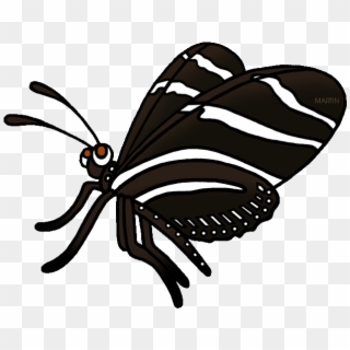 Zebra Clipart Phillip Martin - Zebra Longwing Butterfly Gif - Png Download