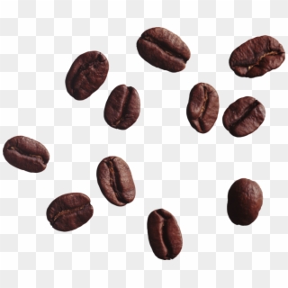 Coffee Beans Png - Transparent Coffee Bean Png Clipart