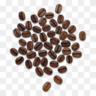 Beans Png Clipart