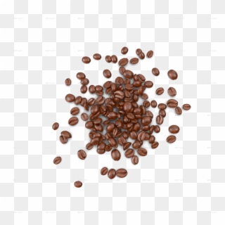 Coffee Beans Transparent - Coffee Bean On View Png Clipart
