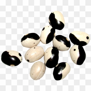 Bead Clipart