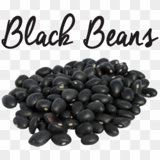 Free Png Download Black Beans Png Images Background - Velvet Bean In Urdu Clipart
