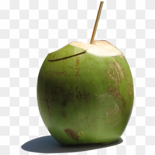 Agua Coco Png - Green Coconut With Straw Clipart