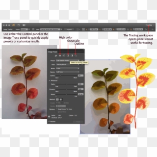 Image Trace Panel - Adobe Illustrator Image Trace Clipart