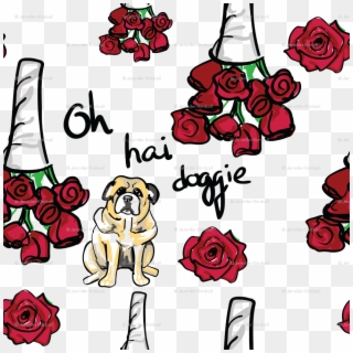 Oh Hai Doggie, The Room Movie, Tommy Wiseau Wallpaper - Garden Roses Clipart