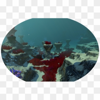 2018 03 12 00007png - Underwater Clipart