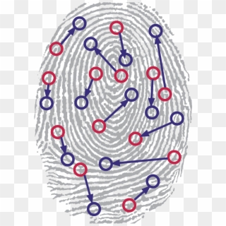 Identified Patterns In A Fingerprint - Fingerprint Clipart
