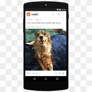 Reddit For Android Picture View - Ios Reddit App Clipart