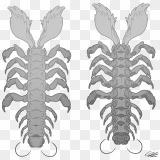 Desert Centipede Top And - American Lobster Clipart