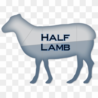 Half-lamb - Horse Clipart