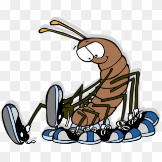 Centipede - House Centipede With Shoes Clipart