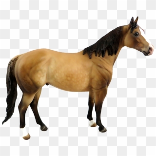 Kuda Png - Kuda Coklat Clipart