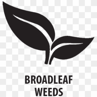 Tzone™ Se Broadleaf Herbicide For Tough Weeds - Graphic Design Clipart