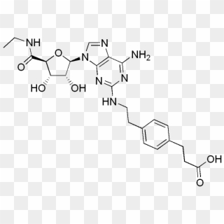 File - Cgs21680 - S Adenosyl Methionine Clipart
