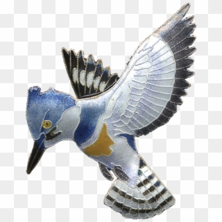 0099pin - Belted Kingfisher Clipart