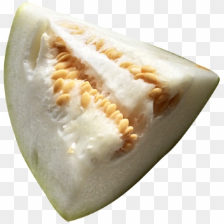 Winter Melon Png Image1 - Wintermelon Png Clipart