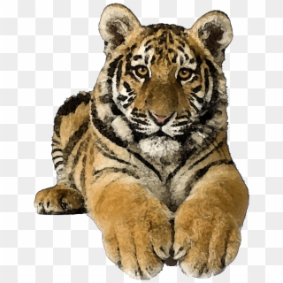 Tiger Clip Art Free Cliparting - Tigertransparent - Png Download